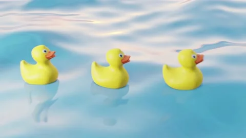 Several toy ducks float on the water one after another Stock Footage 211059049