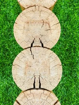 Several tree trunks. Cross section. Cross section of logs texture. Vertical. Stock Photos