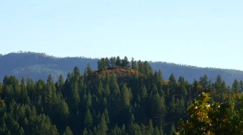Several trees on mountain ridge, 4K Stock Footage 56432676