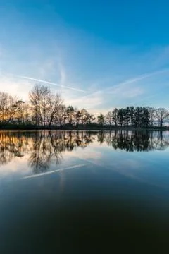 Several trees reflected in surface of pond in the evening Stock Photos