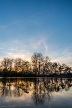 Several trees reflected in surface of pond Stock Photos
