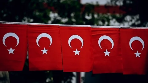 Several Turkey flags are seen during the country's national day 動画素材 92312515