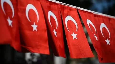 Several Turkey flags are seen during the country's national day 動画素材 92312540