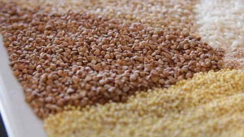 Several types of cereals on one plate. buckwheat, rice, millet, barley, quinoa Stock Footage 114708053