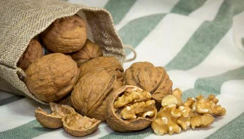 Several walnut shells and walnut kernels bursting out of burlap sack on stripped Stock Photos