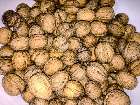 Several walnuts isolated on white 库存照片
