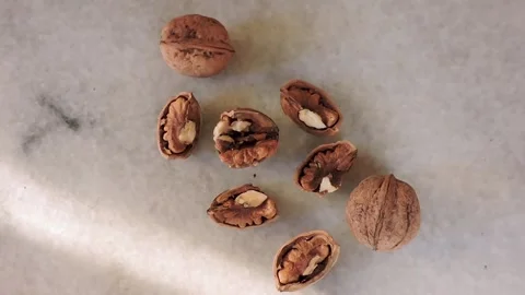 Several walnuts on a marble surface, some in their shells and others cracked Stock Footage 327703739