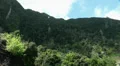 Several waterfalls in Madeira rainforest mountains HD Footage