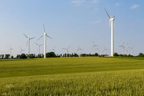 Several wind engines behind wheat field and wood Stock Photos