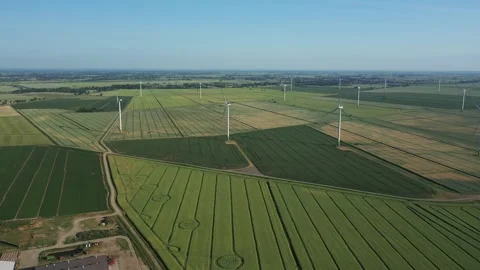 Several wind turbines (windmill) are spinning on the field, taken from a drone, Stock Footage 245482177
