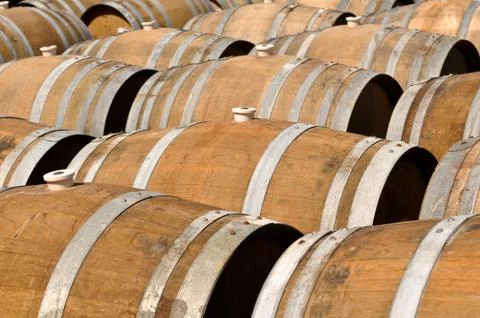 Several wine barrels Foto stock