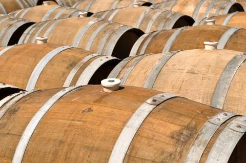 Several wine barrels Foto stock