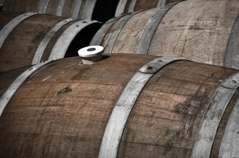 Several wine barrels Foto stock