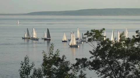 Several yachts on the river Stock Footage 67999556