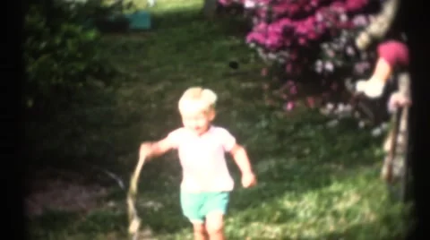 Several young children in a tree Stock Footage 47747921