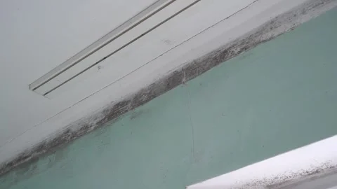 Severe black mold on bedroom ceiling and window frame Stock Footage 306824400
