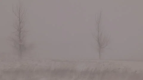 Severe Blizzard snowstorm and high wind with whiteouts Stock Footage 44070839