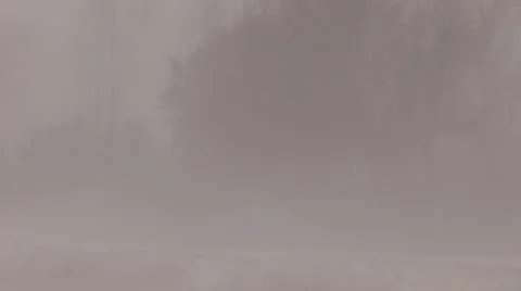 Severe Blizzard snowstorm and high wind with whiteouts Stock Footage 44072178