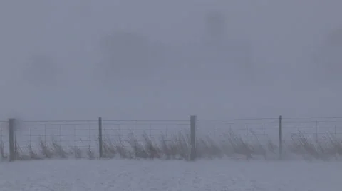 Severe Blizzard snowstorm and high wind with whiteouts Stock Footage 44079902