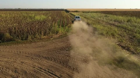 Severe drought conditions affecting the corn crop fields. Drone 4k clip. 스톡 동영상 133336265