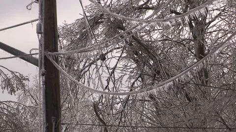 Severe ice freezing rain and wind storm in Ontario 2016 Stock Footage 61536431