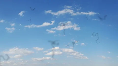 Severe Myodesopsia (Eye Floaters) looking at the Sky Stock Footage 76762500