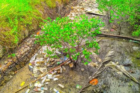 Severe pollution of plastic waste and solid waste in coastal areas Stock Photos
