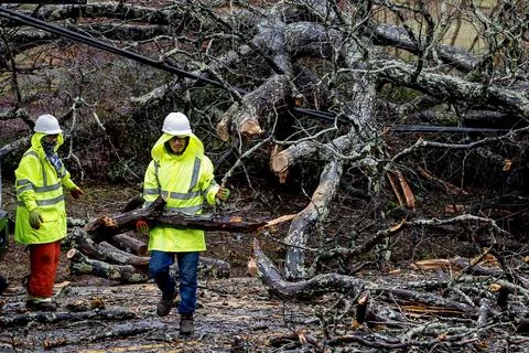 Severe storm front dumps more that four inches of rain on metro Atlanta area, US Fotos Stock
