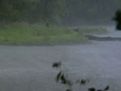 Severe Storm Rain  Lashing Winds Lake Pond River Pouring Flooding 動画素材 7765255