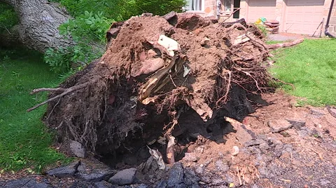 Severe thunderstorm damage after tornado warned storm in Ontario Canada Stock Footage 44384582