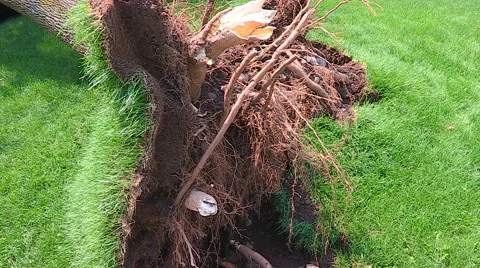 Severe thunderstorm damage after tornado warned storm in Ontario Canada Stock Footage 44384674