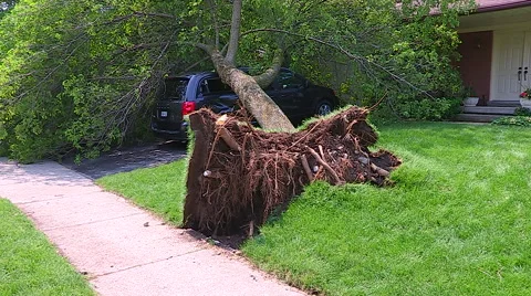 Severe thunderstorm damage after tornado warned storm in Ontario Canada Stock Footage 44384680