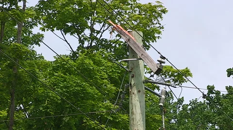 Severe thunderstorm damage after tornado warned storm in Ontario Canada Stock Footage 44385645