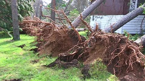 Severe thunderstorm damage after tornado warned storm in Ontario Canada Stock Footage 44387667