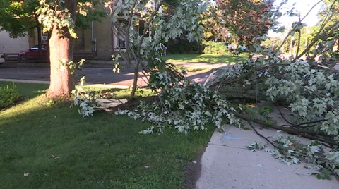Severe thunderstorm damage Stock Footage 36778425