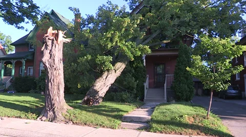 Severe thunderstorm damage Stock Footage 36778710