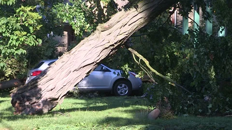 Severe thunderstorm damage Stock Footage 36779286