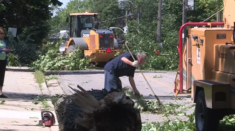 Severe thunderstorm damage Stock Footage 36782604
