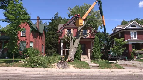 Severe thunderstorm damage Stock Footage 36783025