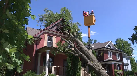 Severe thunderstorm damage Stock Footage 36783200