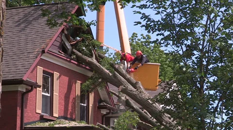 Severe thunderstorm damage Stock Footage 36783308