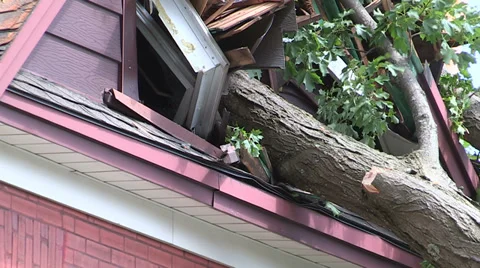 Severe thunderstorm damage Stock Footage 36783445
