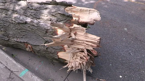Severe thunderstorm damage Stock Footage 36783496