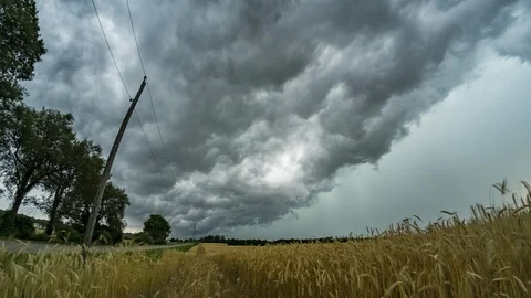 Severe thunderstorm front clouds fast moving above yellow wheat field. 4k prores Stock Footage 113692298