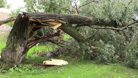 Severe thunderstorm tornado and microburst damage after wild summer weather Stock Footage 112702719