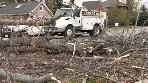 Severe wind storm damage to power lines and trees in city Stock Footage 119091815