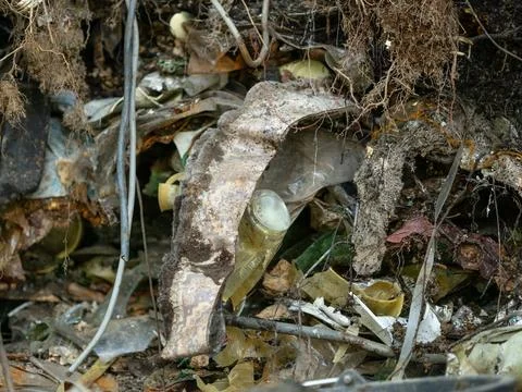 Severely Polluted Soil with Unearthed Plastic Waste and Roots Stock Photos
