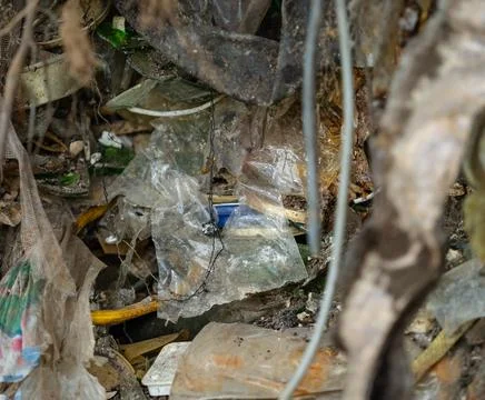 Severely Polluted Soil with Unearthed Plastic Waste and Roots Stock Photos