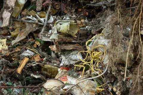 Severely Polluted Soil with Unearthed Plastic Waste and Roots Stock Photos