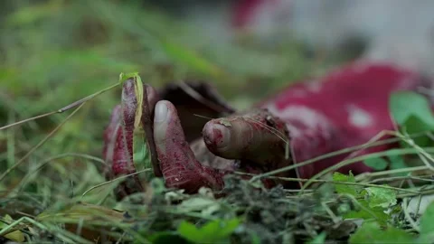 The severely wounded soldier lying in the grass outdoors, fingers twitching Video stock 276518662